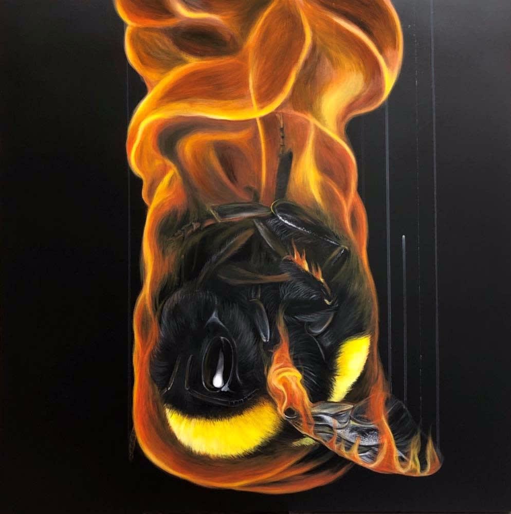 Louise McNaught , Burnt Out