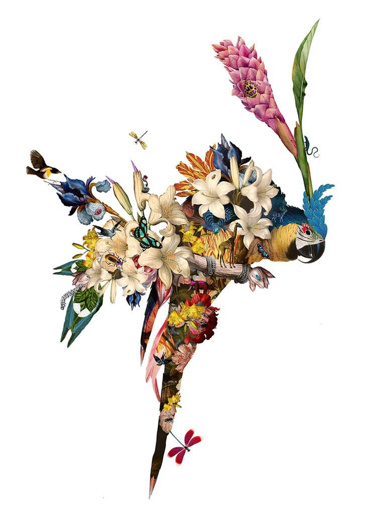Kristjana S Williams , Flower House Lear 1