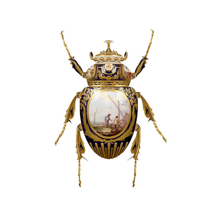 Magnus Gjoen , Sèvres Goliathus Scarabaeidae