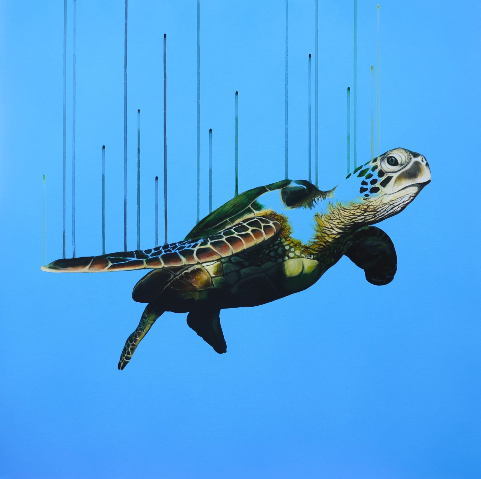 Louise McNaught , Shell Shocked
