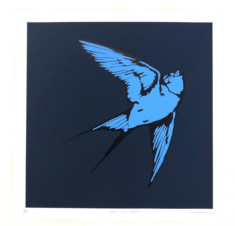 Dan Baldwin , Love and Light - Midnight Blue and Pacific Blue