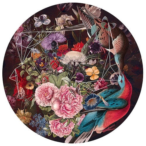 Alexandra Gallagher , Rhythmic Order in Chaotic Disorder