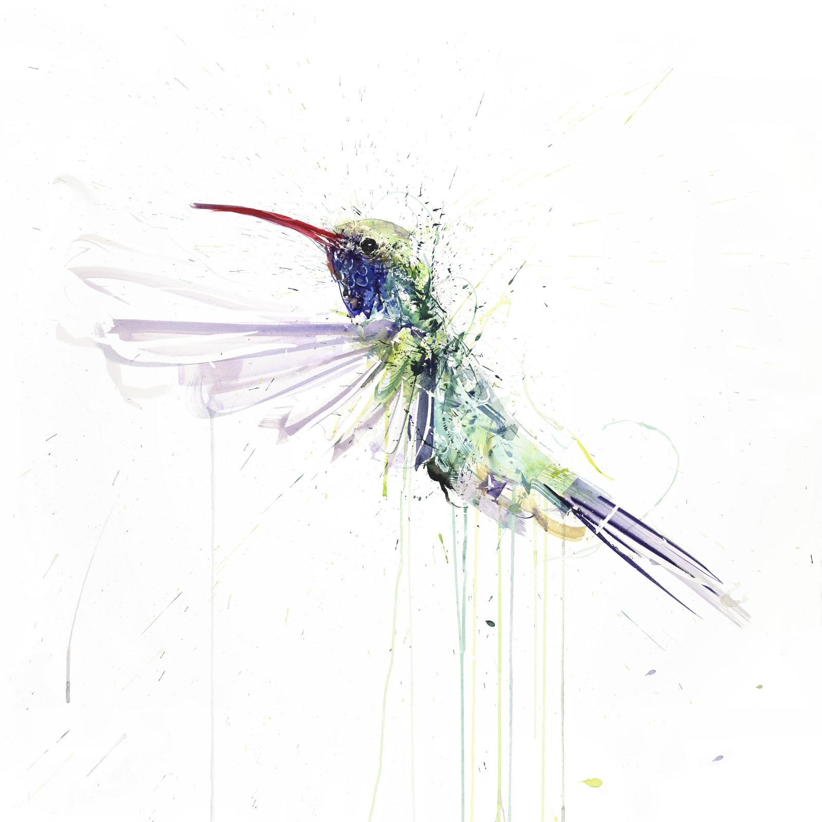 Dave White, Hummingbird II
