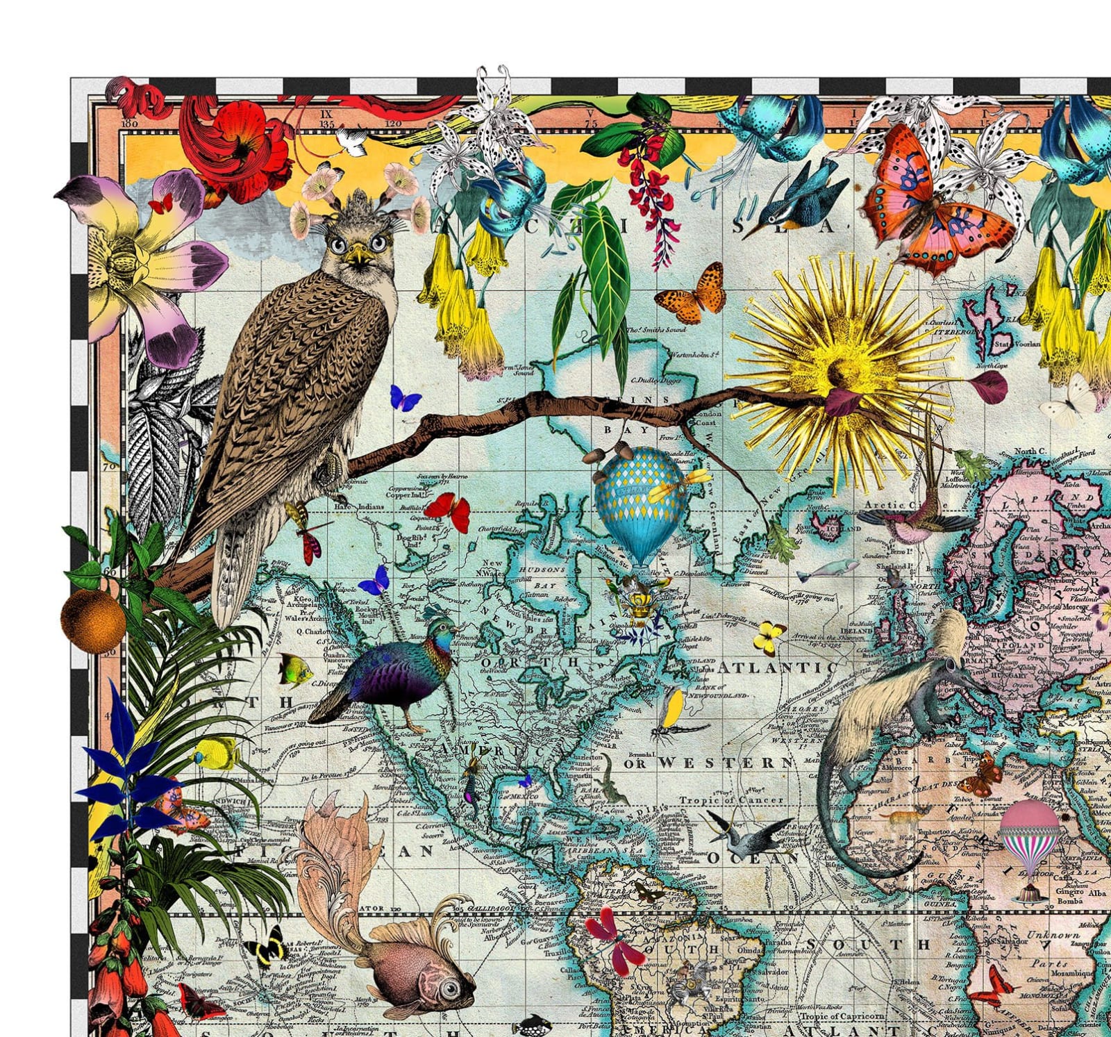 Kristjana S Williams , Eminent Navigators World Chart