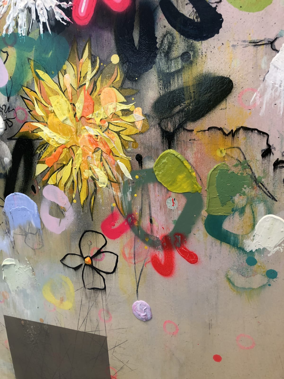 Lee Herring , Dahlia Bursts