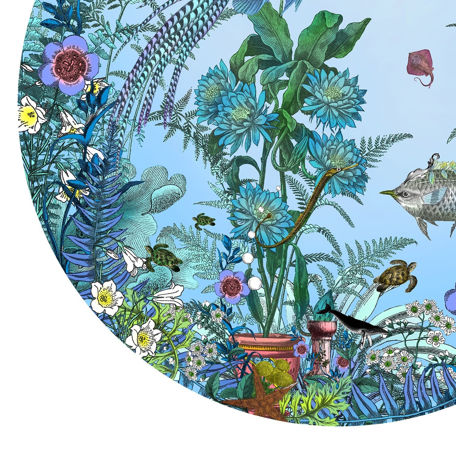 Kristjana S Williams , Fugl Ne Fiskur