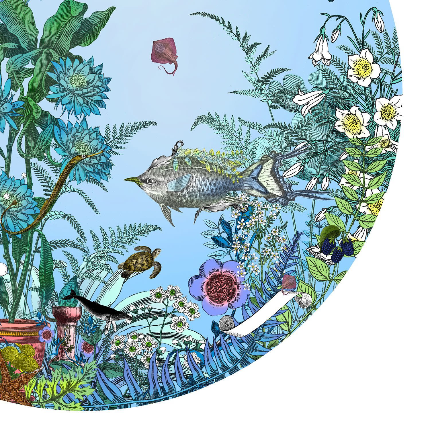 Kristjana S Williams , Fugl Ne Fiskur