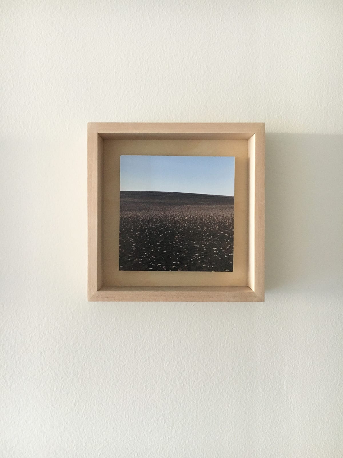Grace Clark Sweet Fields XI, 2020 digital pigment print 6 x 6 inches, edition 1/3 $ 500.00