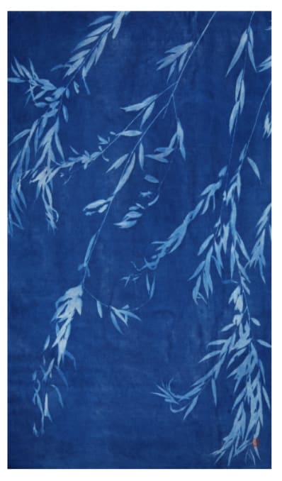 Andrea Zvadova , EVENING WILLOW II