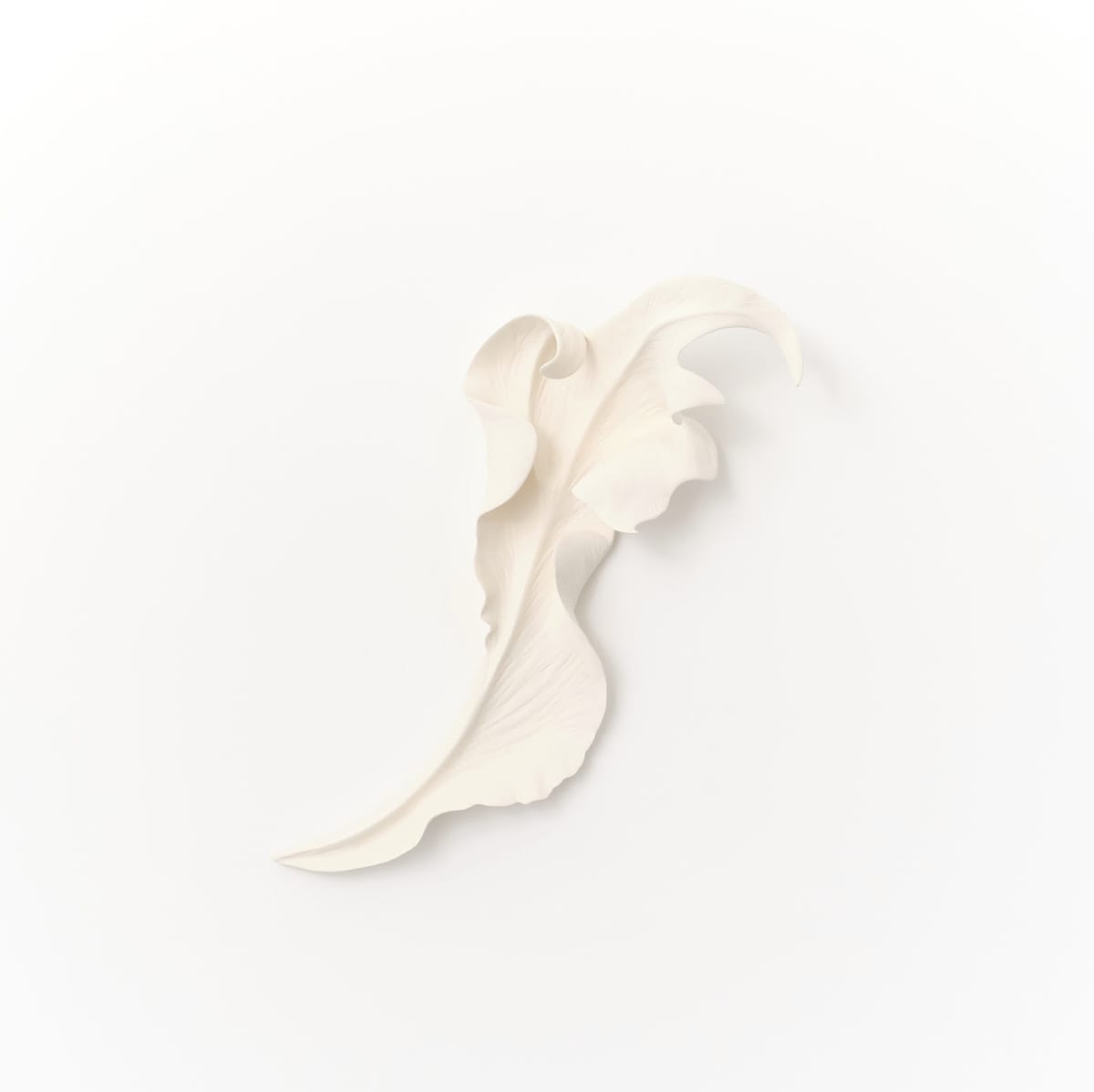 Marina Nimmo, Cornflower Leaf #6, 2025