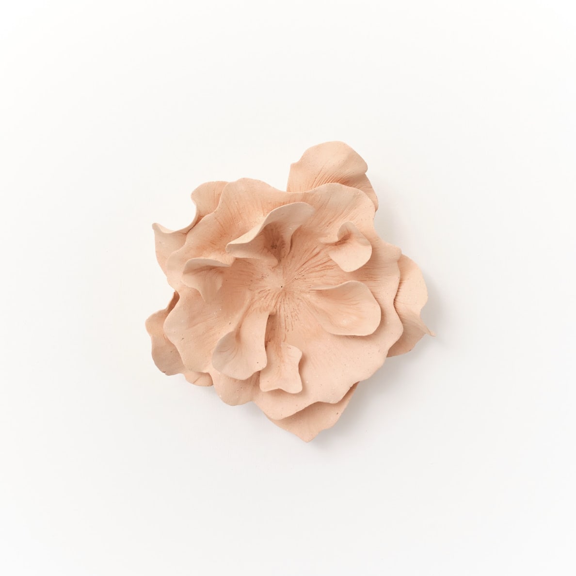 Marina Nimmo, Rustic Wallflower, 2025