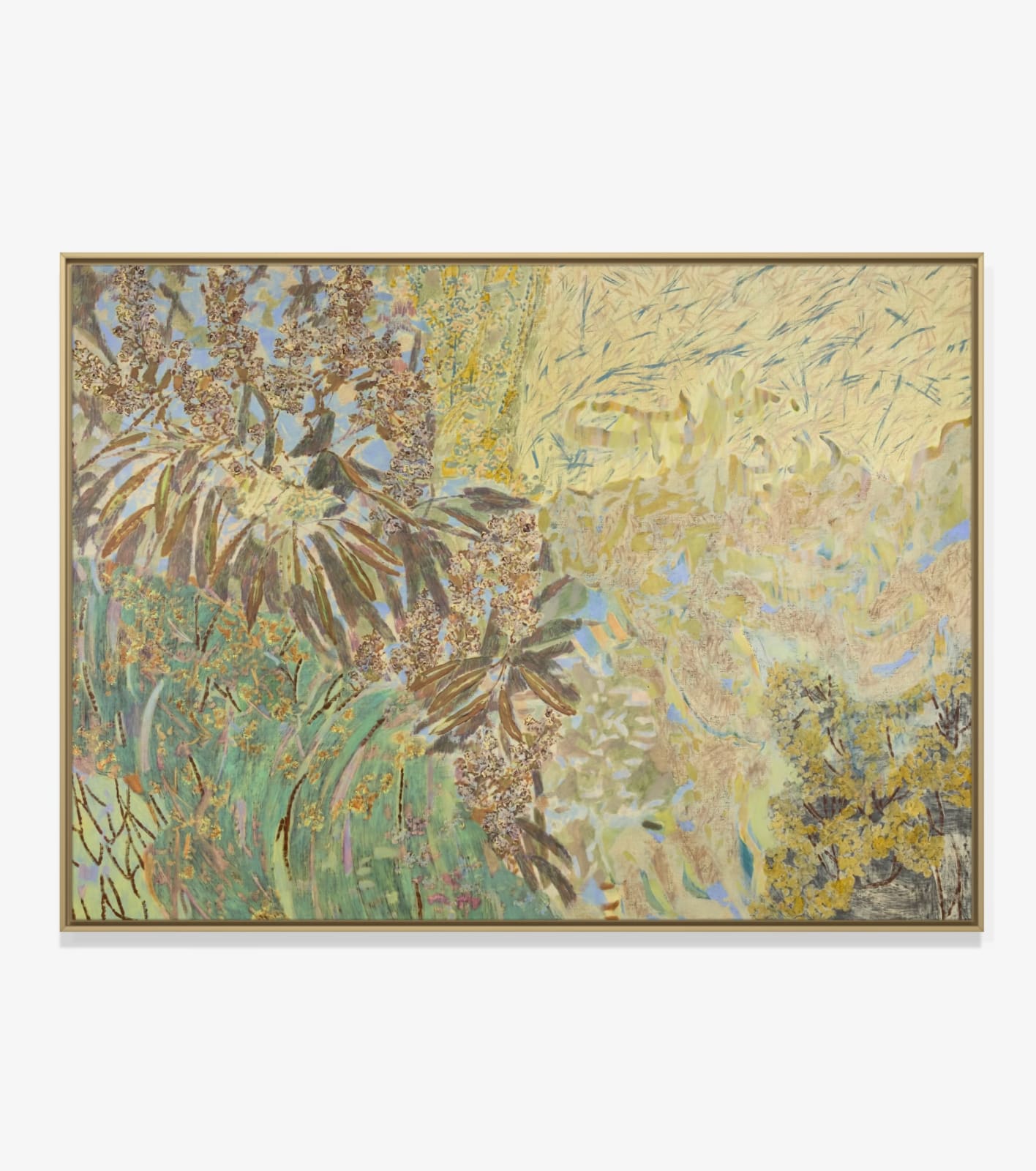 Amy Wright, Majestics and wattle nuance, 2025