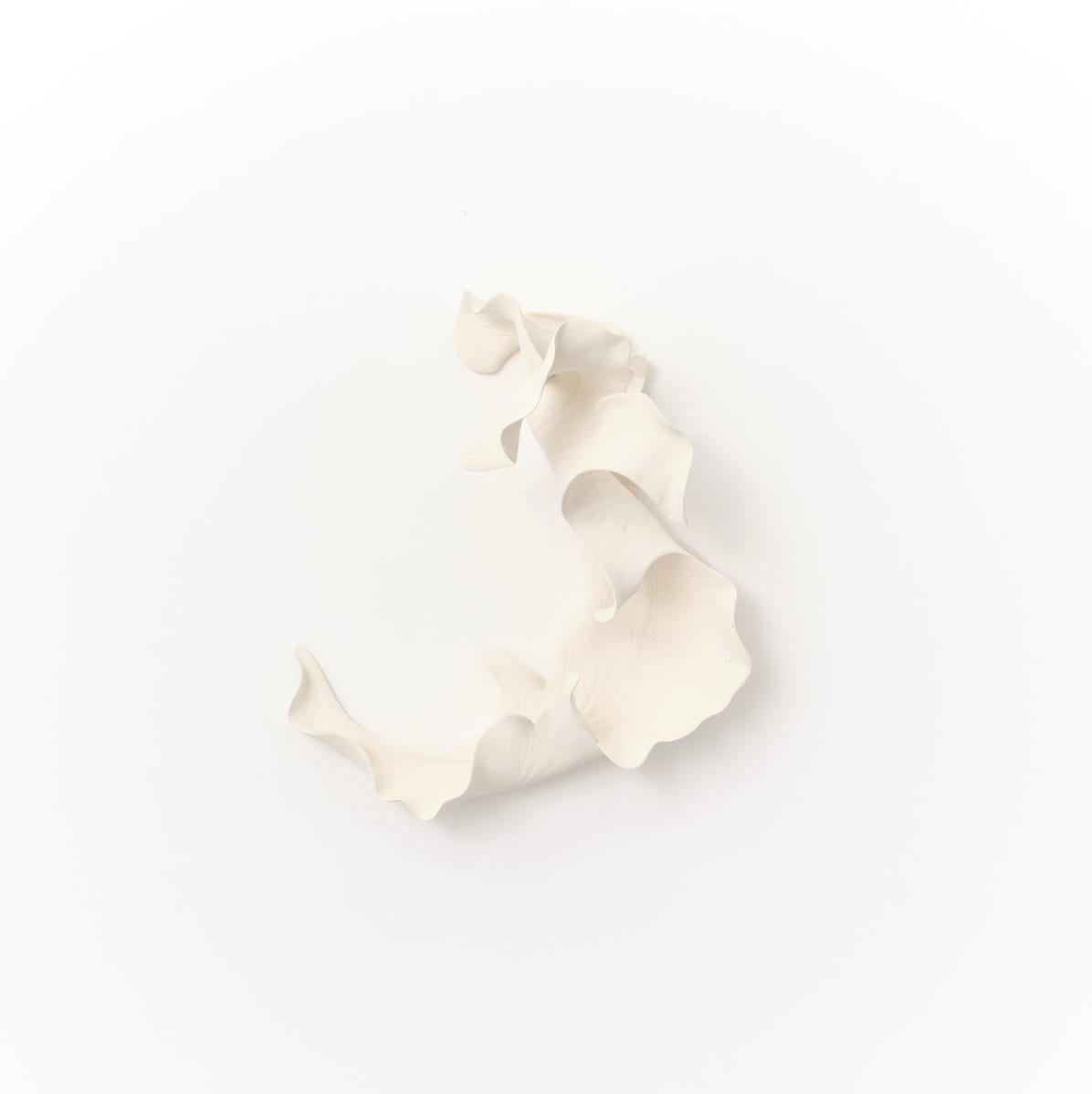 Marina Nimmo, Cornflower Leaf #5, 2025