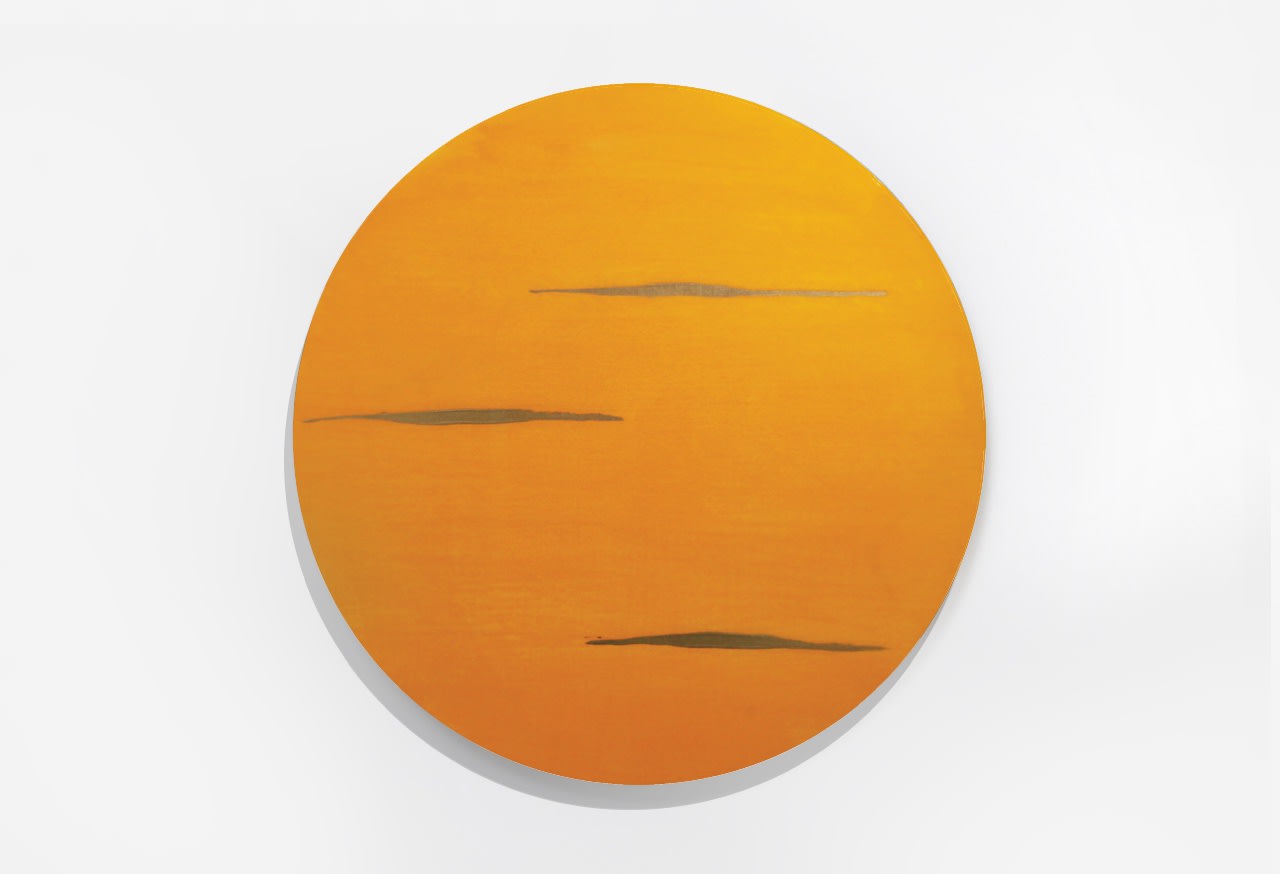 John O'Carroll, Sol , 2020