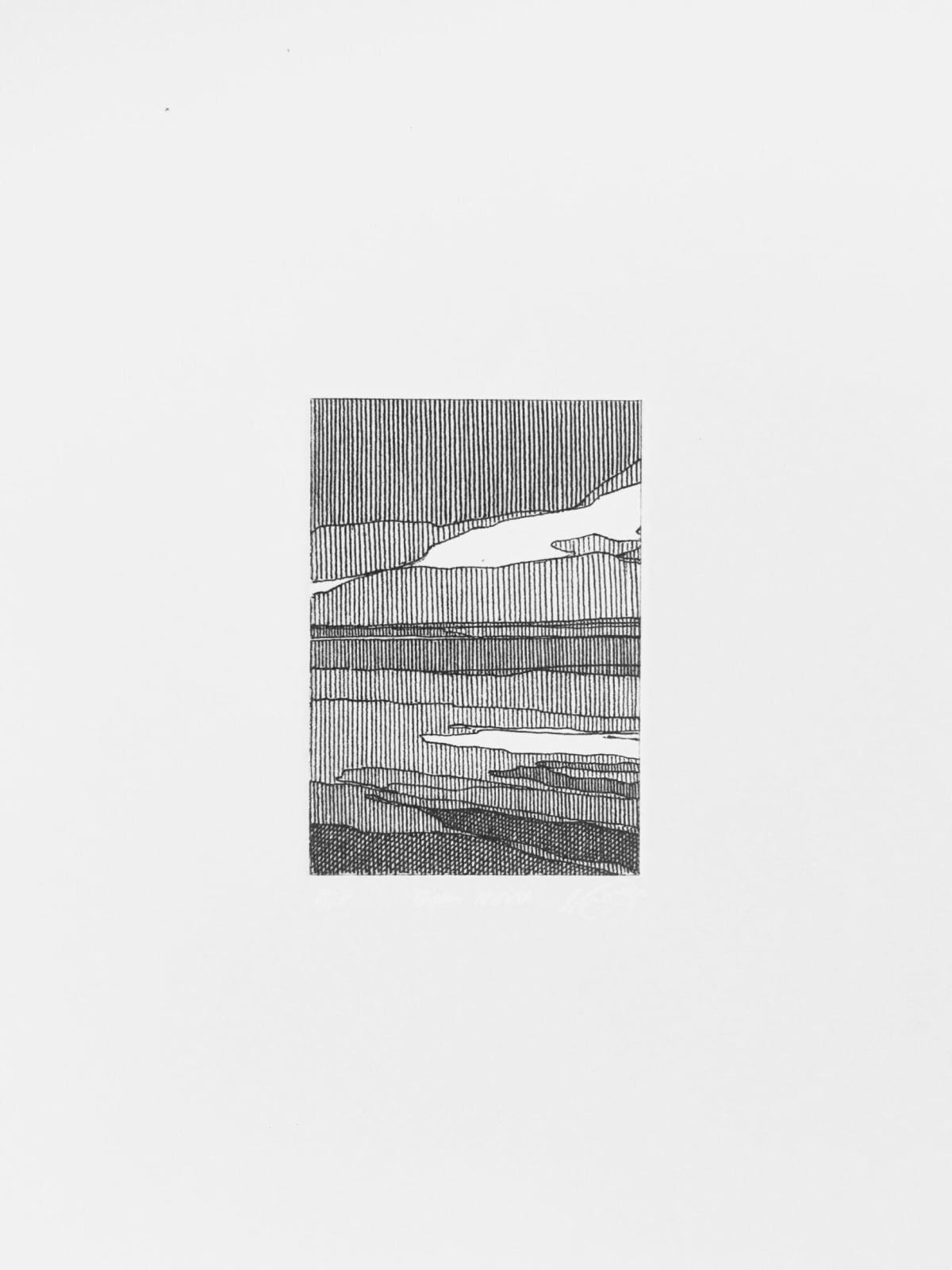 Sarah Woods, Open North, 2020