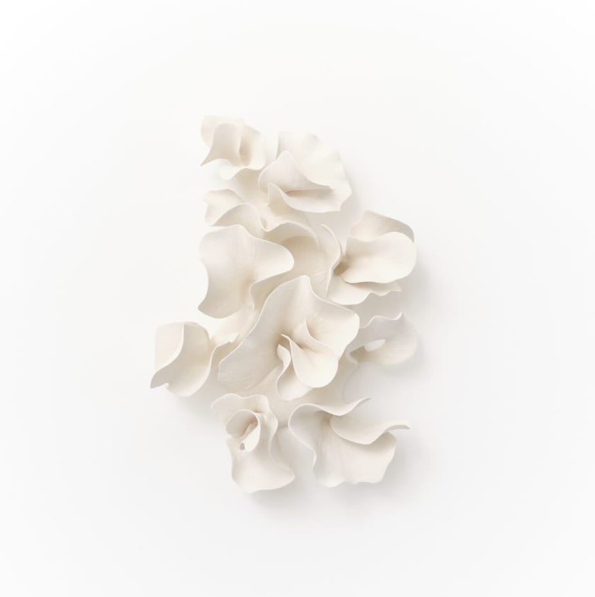 Marina Nimmo, Entwine, 2025