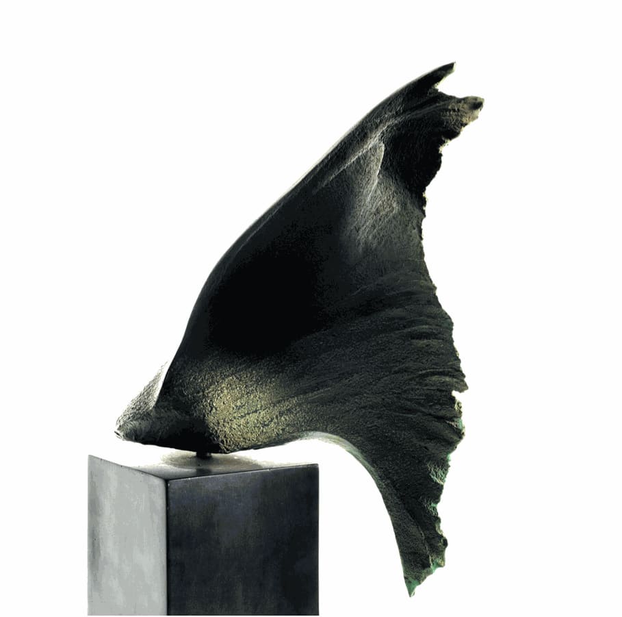 Ben Barrell, Wing One