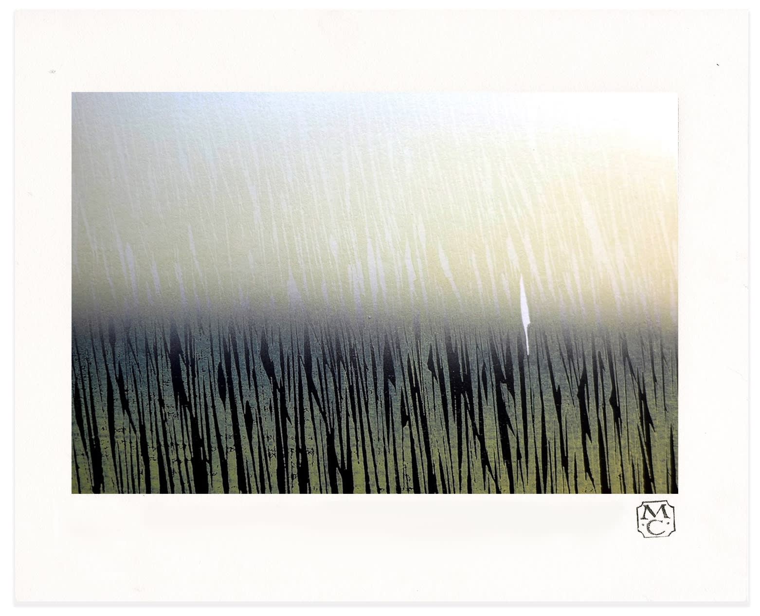 Merlyn Chesterman, Morning Mist, 2020