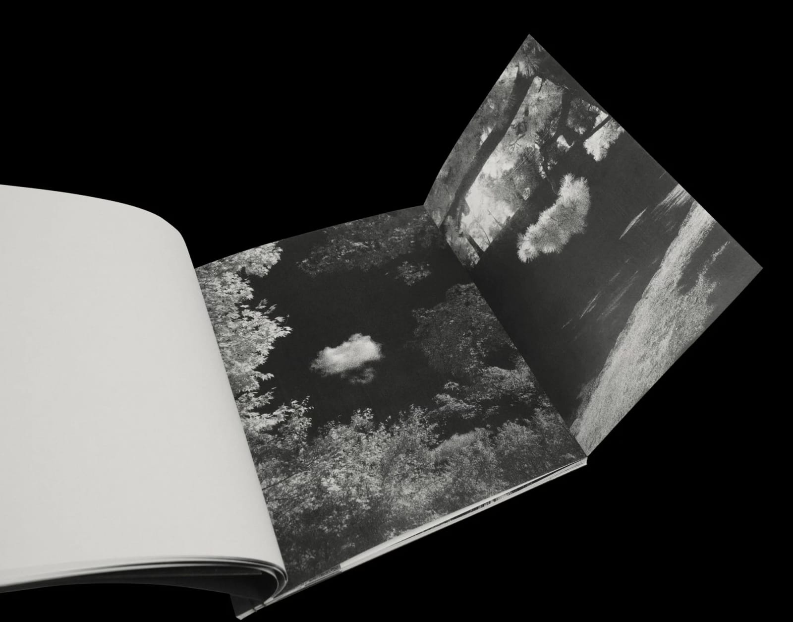 James John Midwinter, FRAGMENT RIVER, FLOWING FIELD, 2025