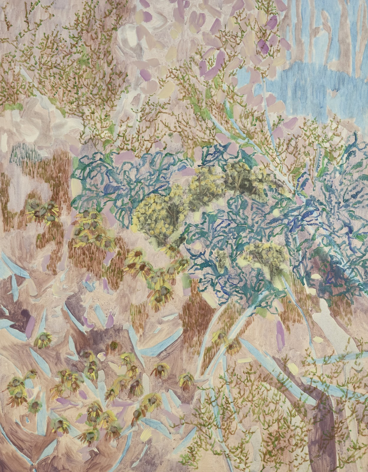 Amy Wright, Lingering seed heads in an overcrowded rockery, 2025