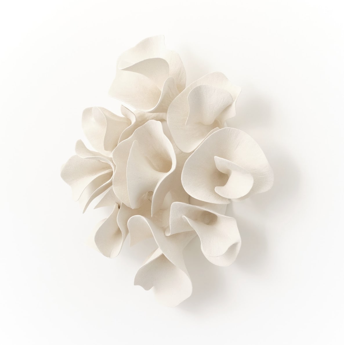 Marina Nimmo, Efflorescence #5 , 2025