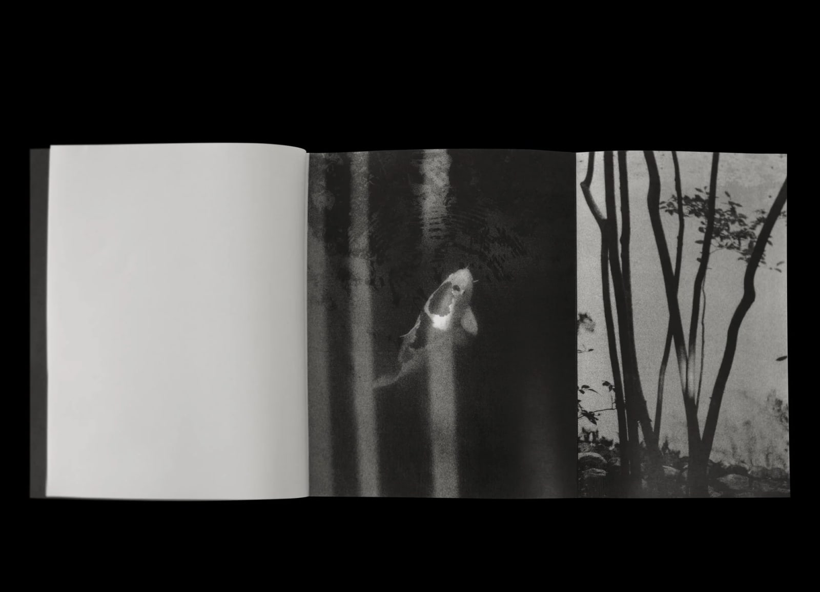 James John Midwinter, FRAGMENT RIVER, FLOWING FIELD, 2025