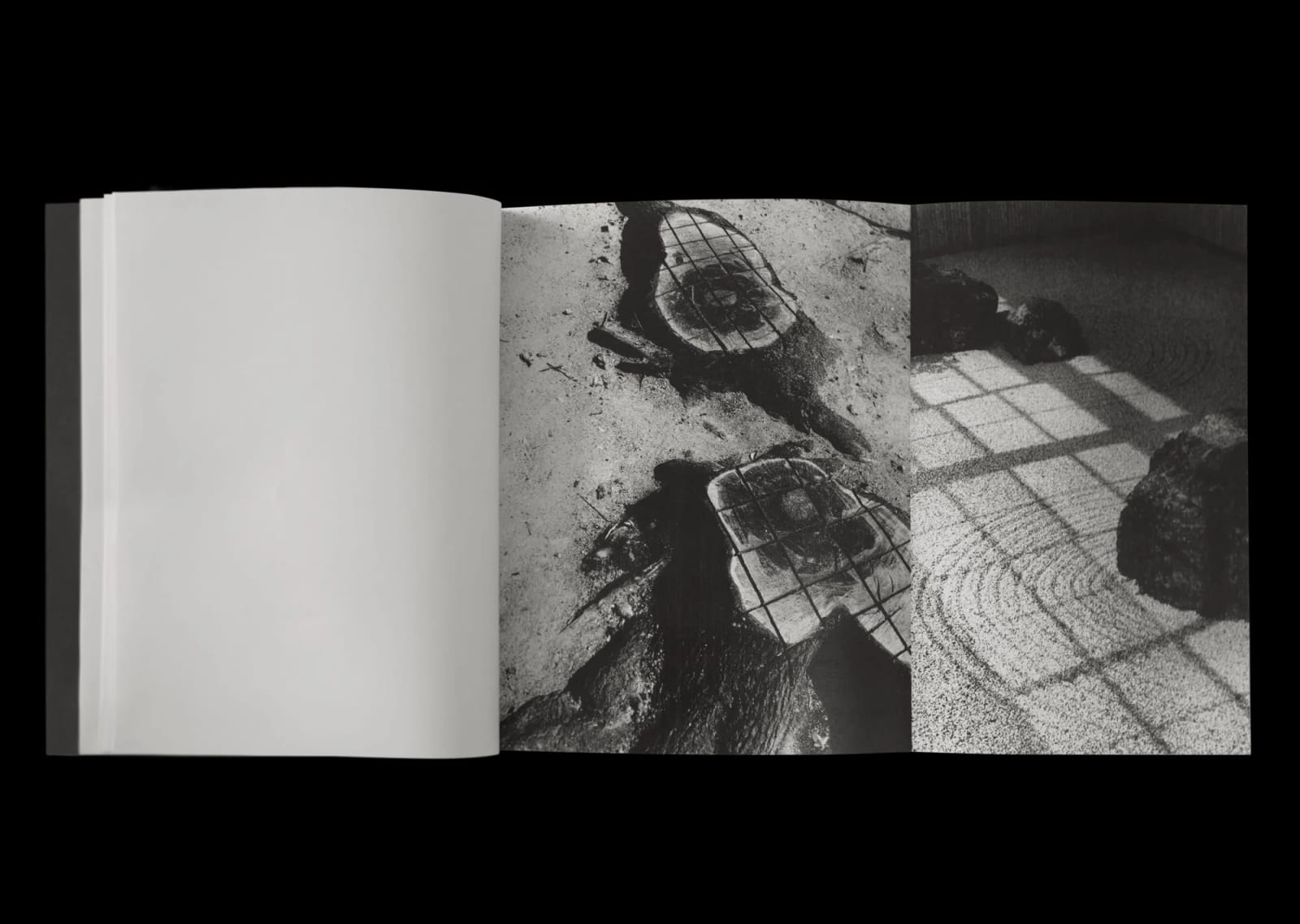 James John Midwinter, FRAGMENT RIVER, FLOWING FIELD, 2025