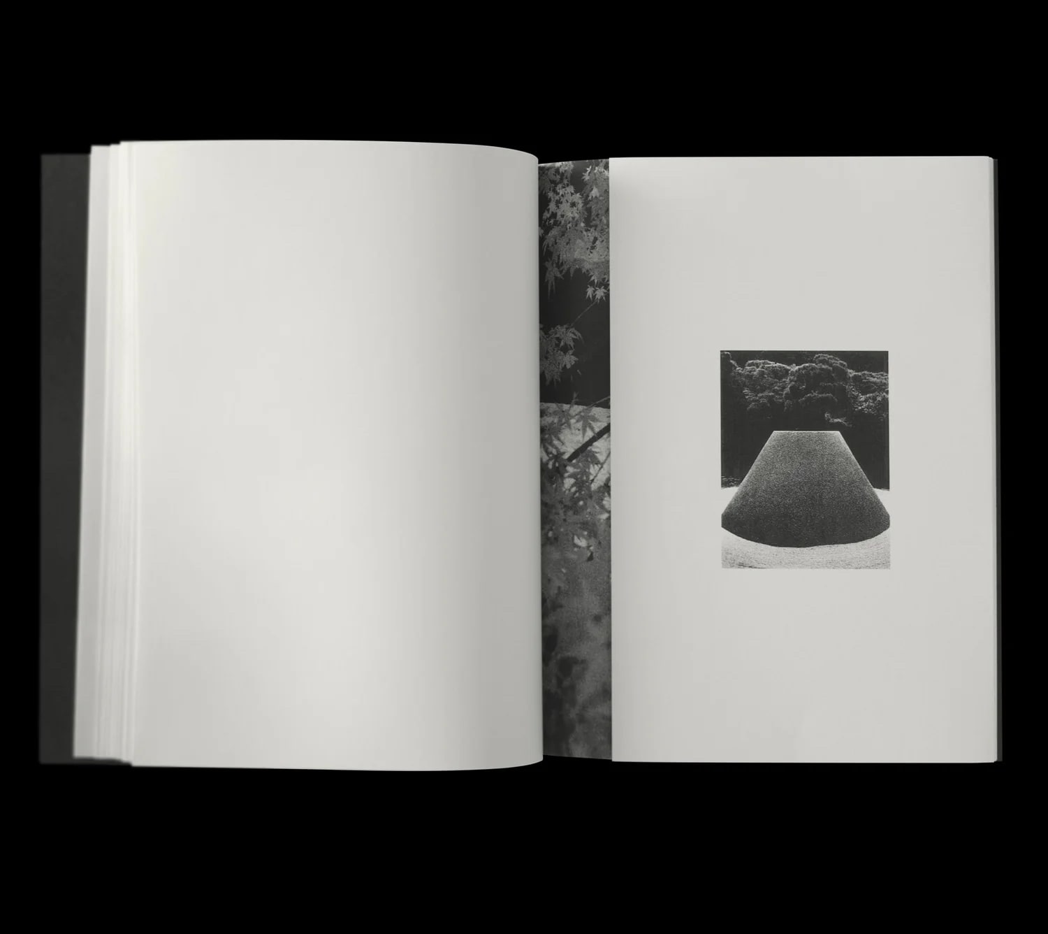 James John Midwinter, FRAGMENT RIVER, FLOWING FIELD, 2025