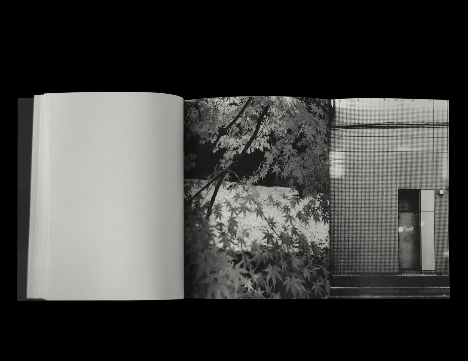 James John Midwinter, FRAGMENT RIVER, FLOWING FIELD, 2025