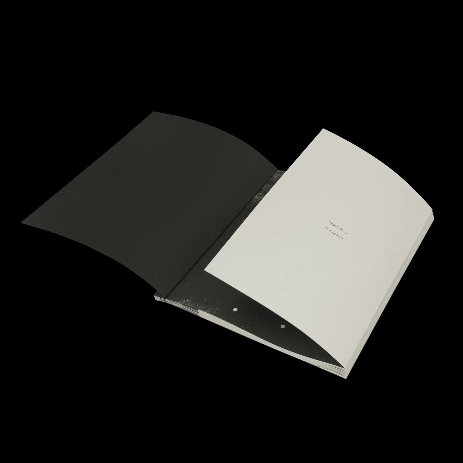 James John Midwinter, FRAGMENT RIVER, FLOWING FIELD, 2025