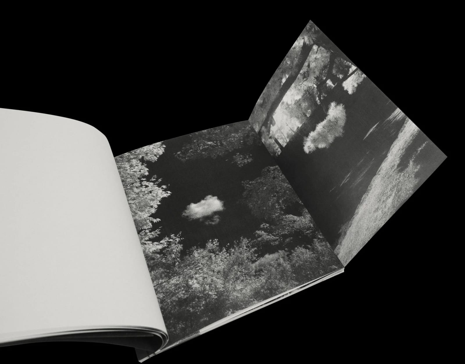 James John Midwinter, FRAGMENT RIVER, FLOWING FIELD, 2025