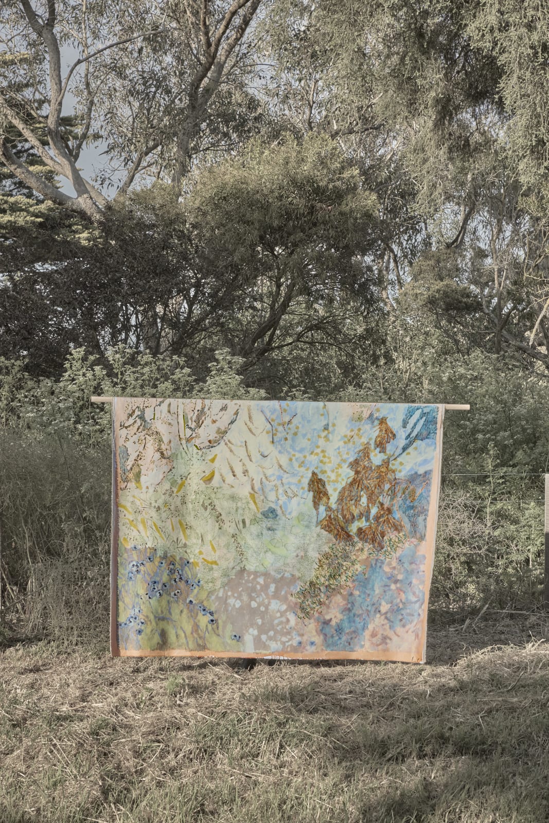 Amy Wright, Summerhaze , 2025