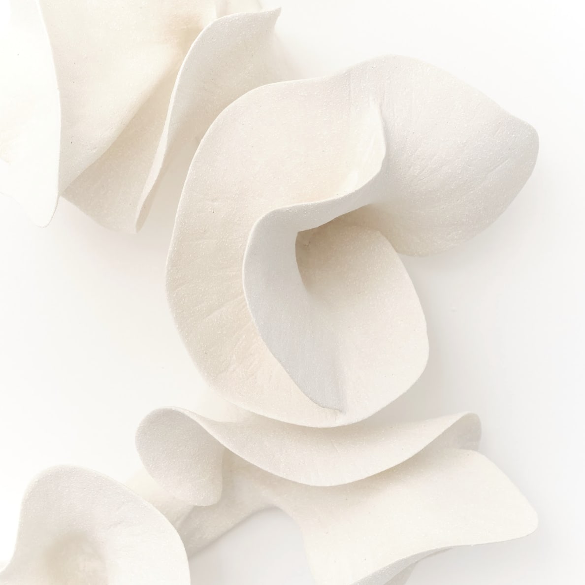 Marina Nimmo, Flow, 2025