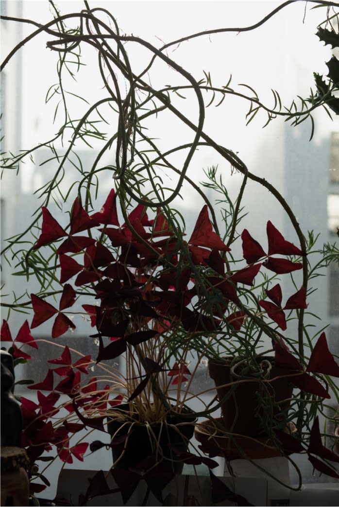 Wolfgang Tillmans, Escape into Space, 2020