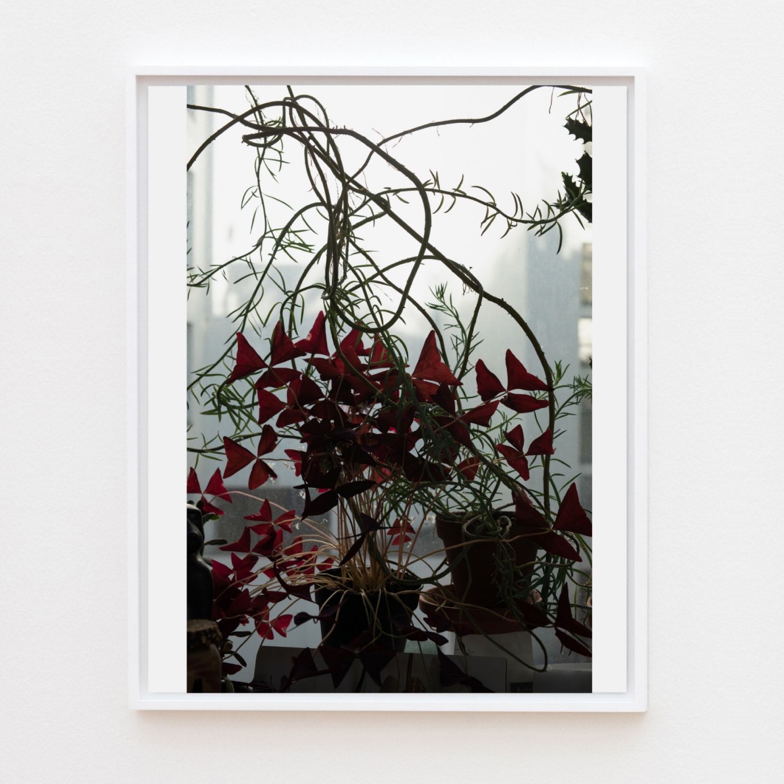 Wolfgang Tillmans, Escape into Space, 2020