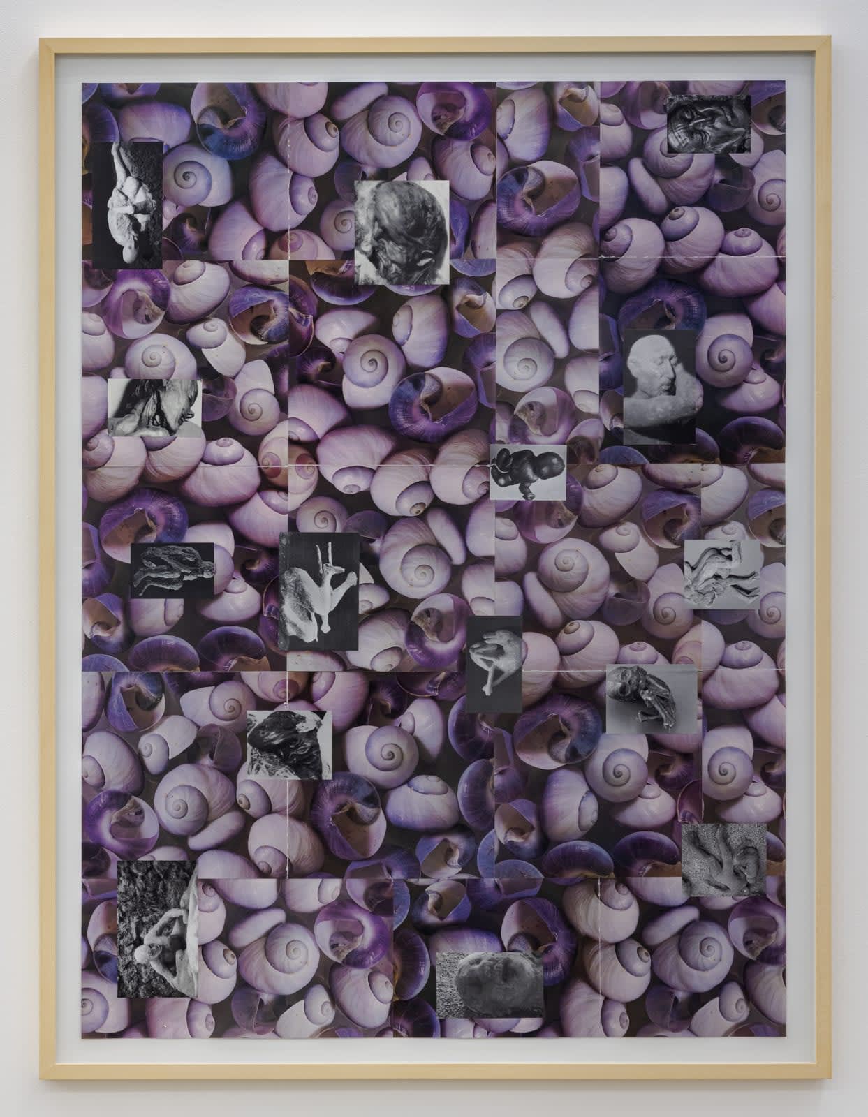 Jason De Haan, Tomb Bloom , 2018