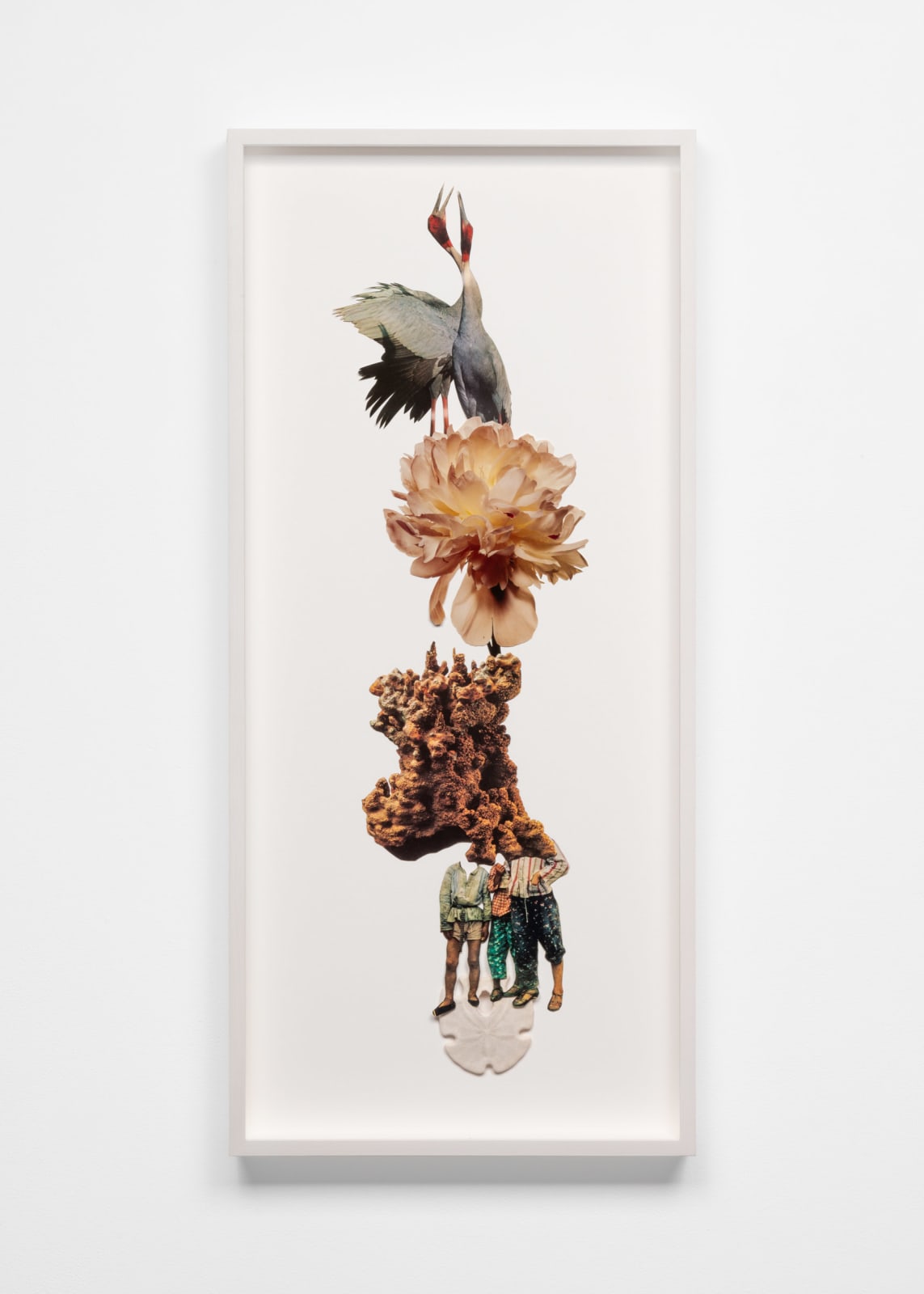 Jennifer Murphy, Self Willed Communities, 2024