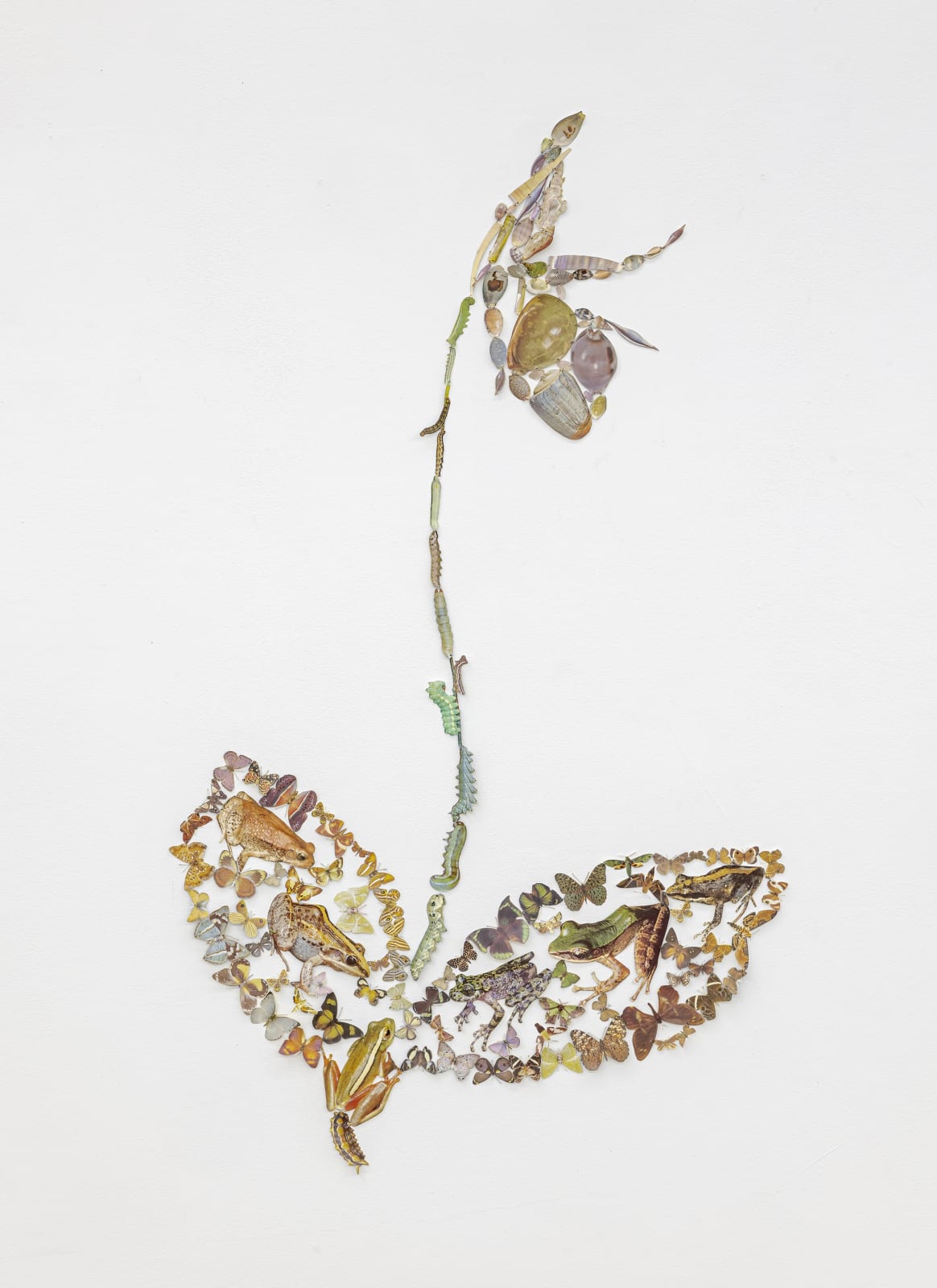 Jennifer Murphy, Lady Slipper Orchid, 2022