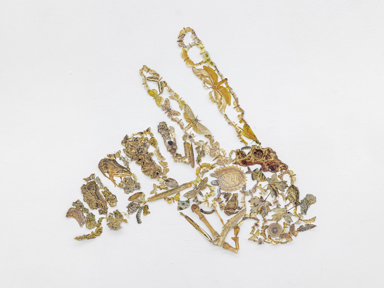 Jennifer Murphy, Wasp, 2022