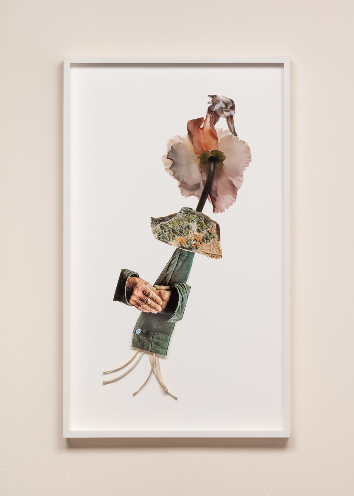 Jennifer Murphy, Unscheduled Appearance, 2024