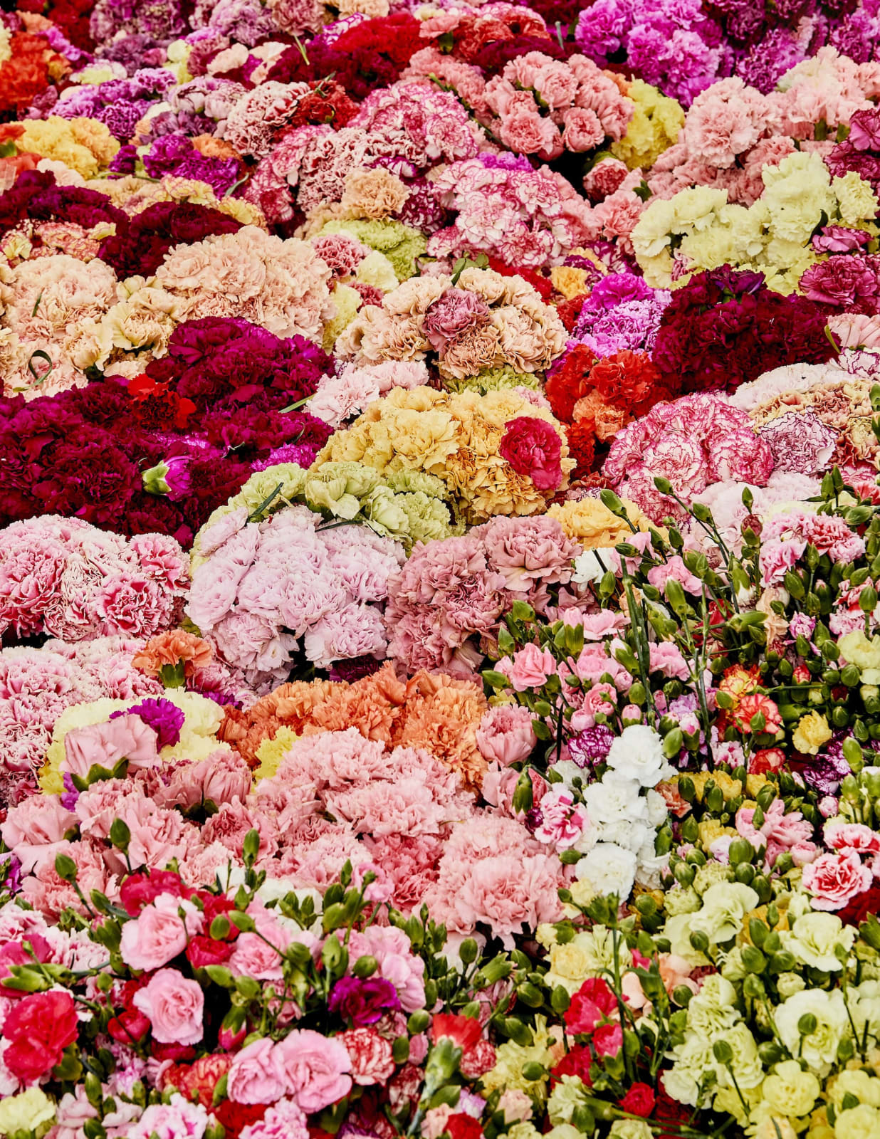 Luis Mora, Untitled 22 (Paloquemao, Bogotá, Colombia), 2018