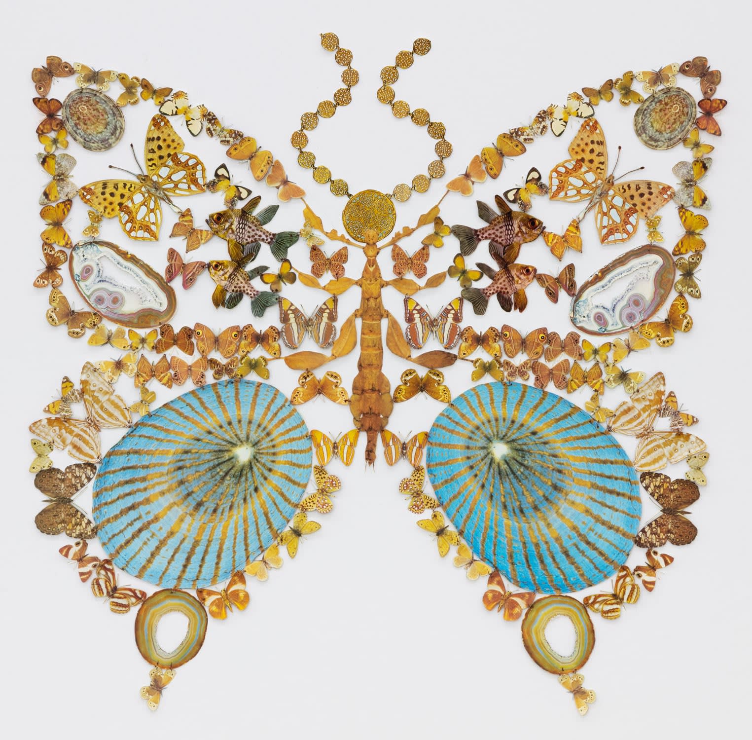 Jennifer Murphy, Walking Stick Butterfly, 2022