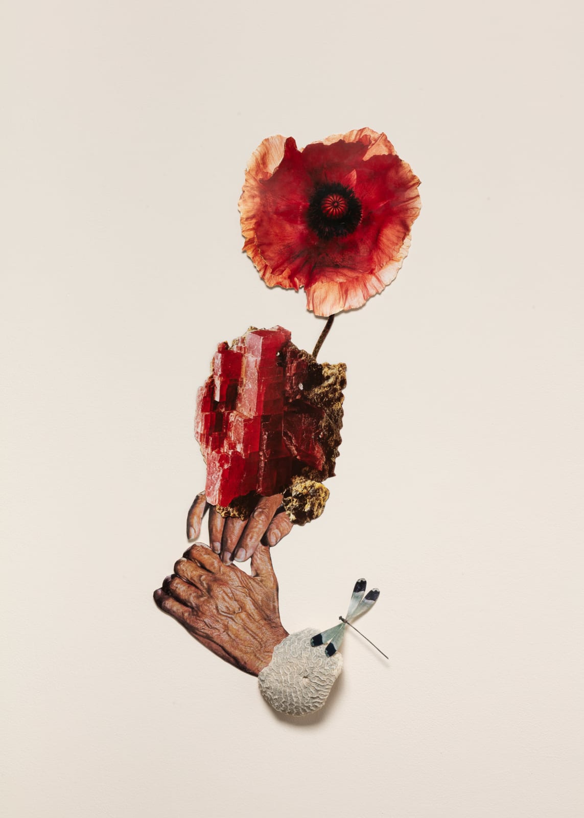 Jennifer Murphy, To Make Our Way To That Bright World Again, 2025