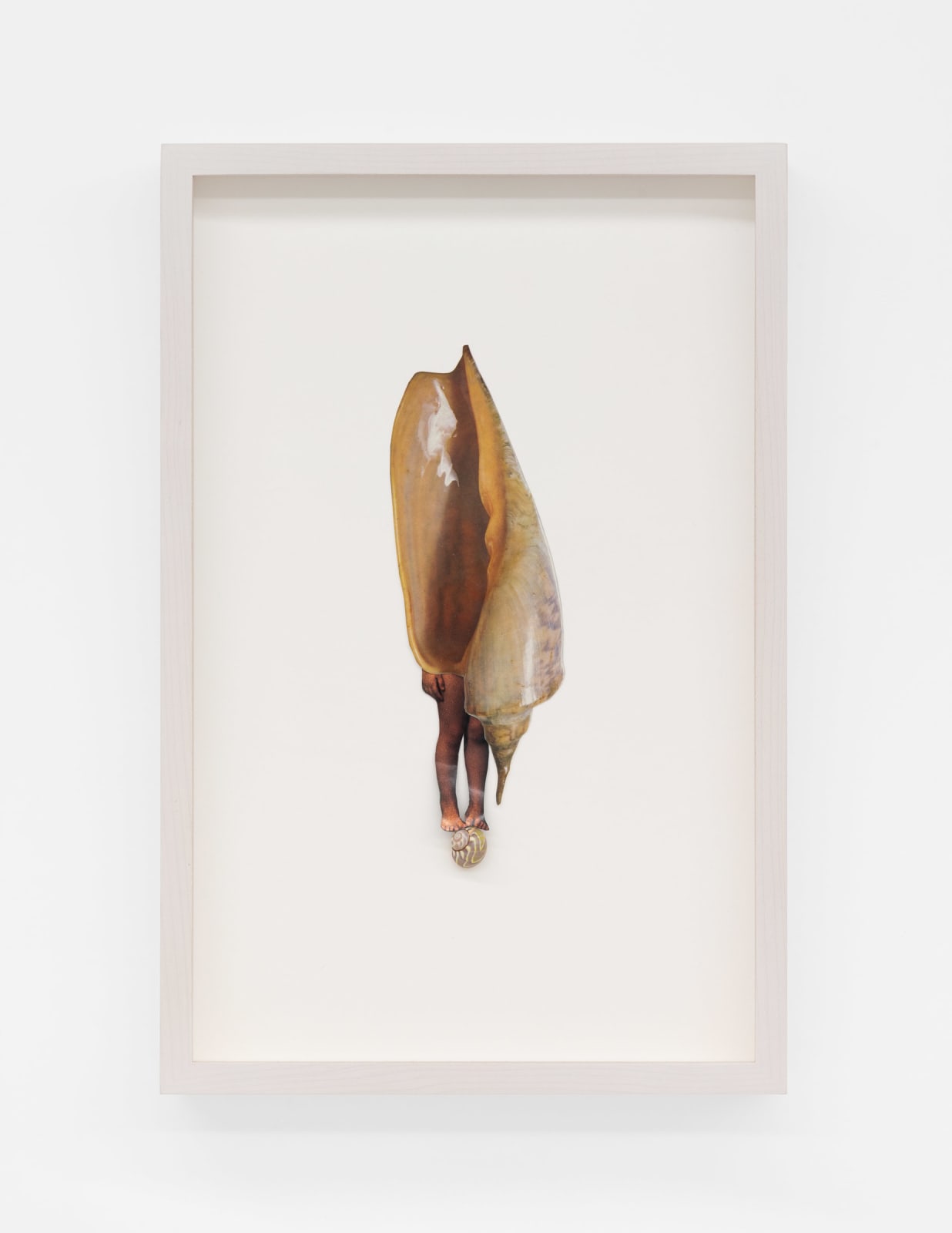 Jennifer Murphy, For Dorothea, 2025