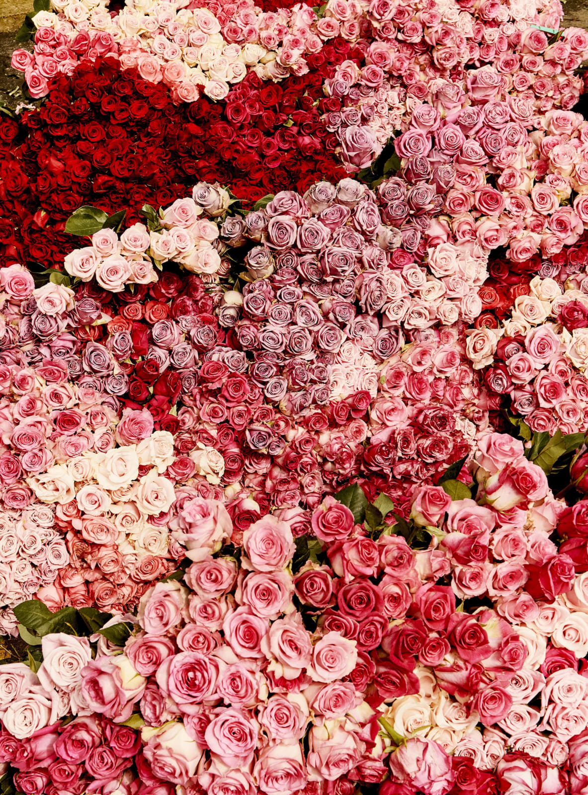 Luis Mora, Untitled 6 (Paloquemao, Bogotá, Colombia), 2018