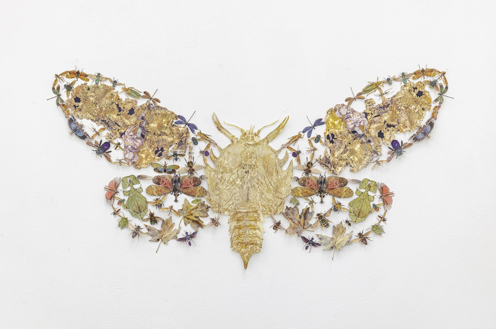 Jennifer Murphy, Cicada, 2022