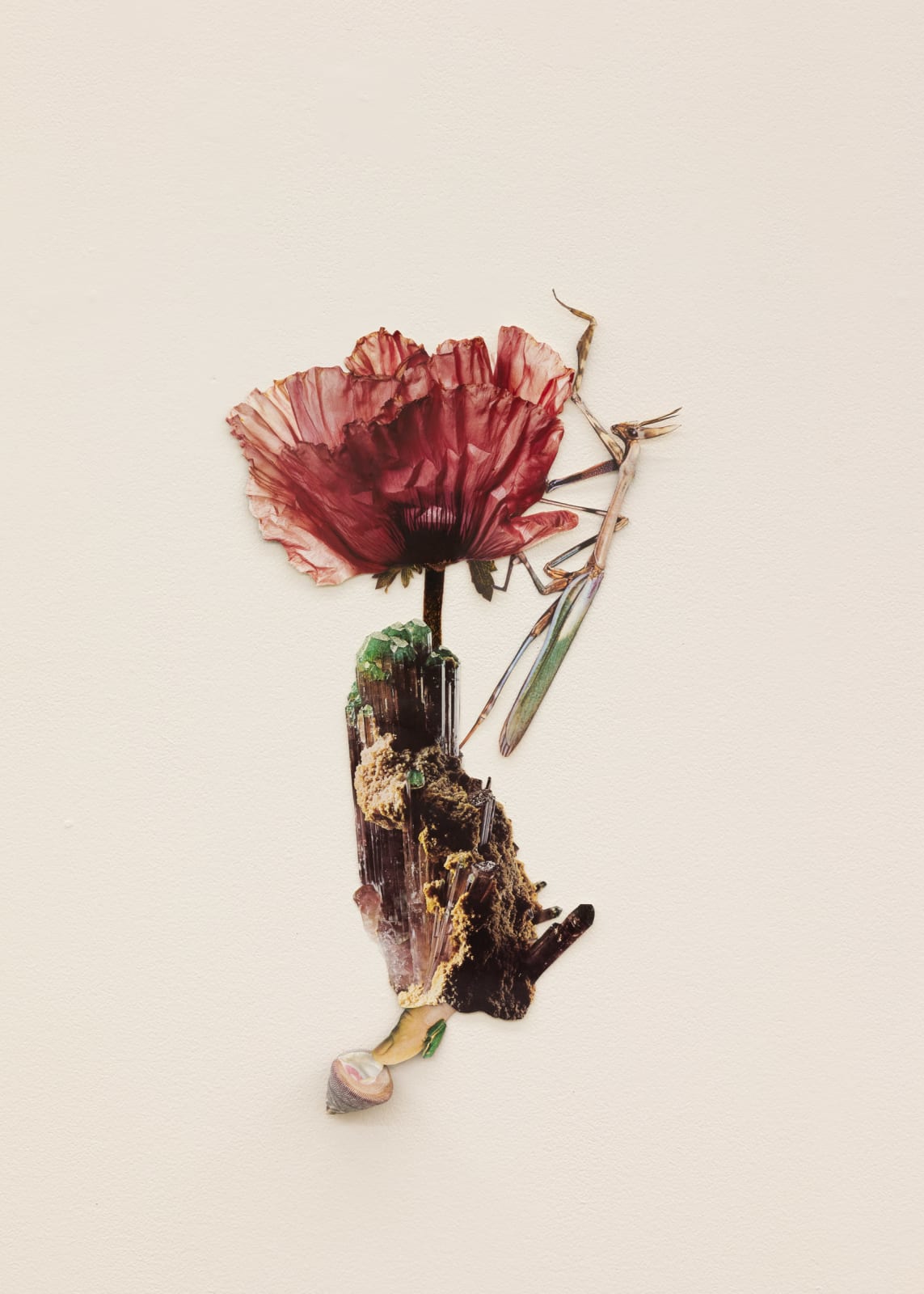 Jennifer Murphy, Belief In Help During Mountain Climbing, 2025