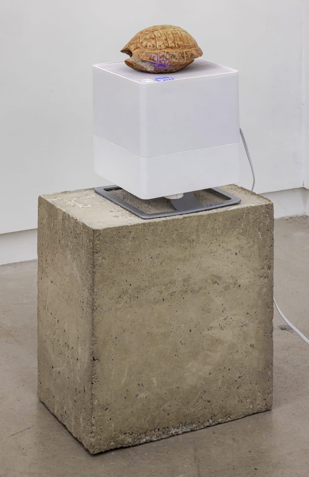 Jason De Haan, Free and Easy Wanderer (Yellow River) , 2014