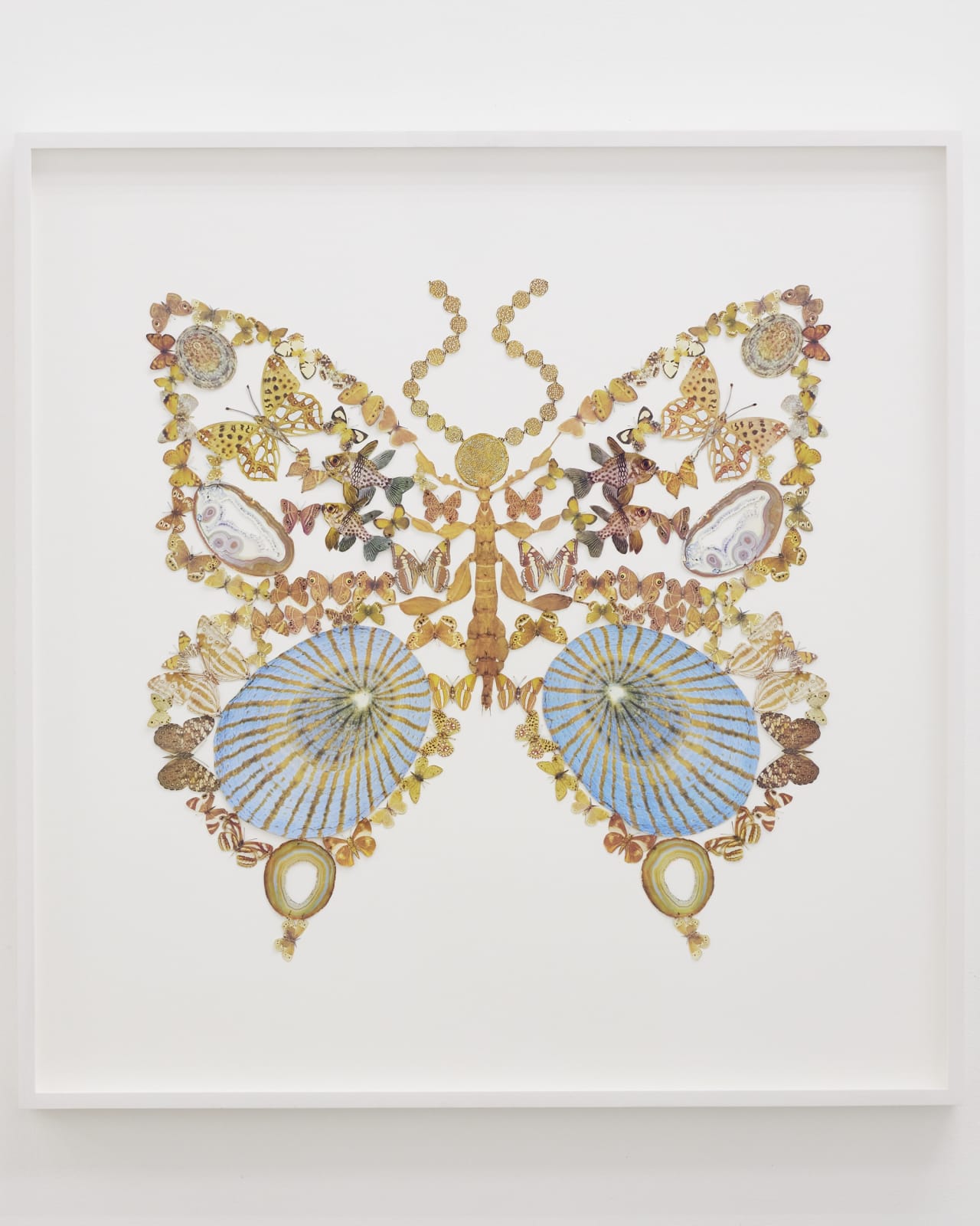 Jennifer Murphy, Walking Stick Butterfly, 2022