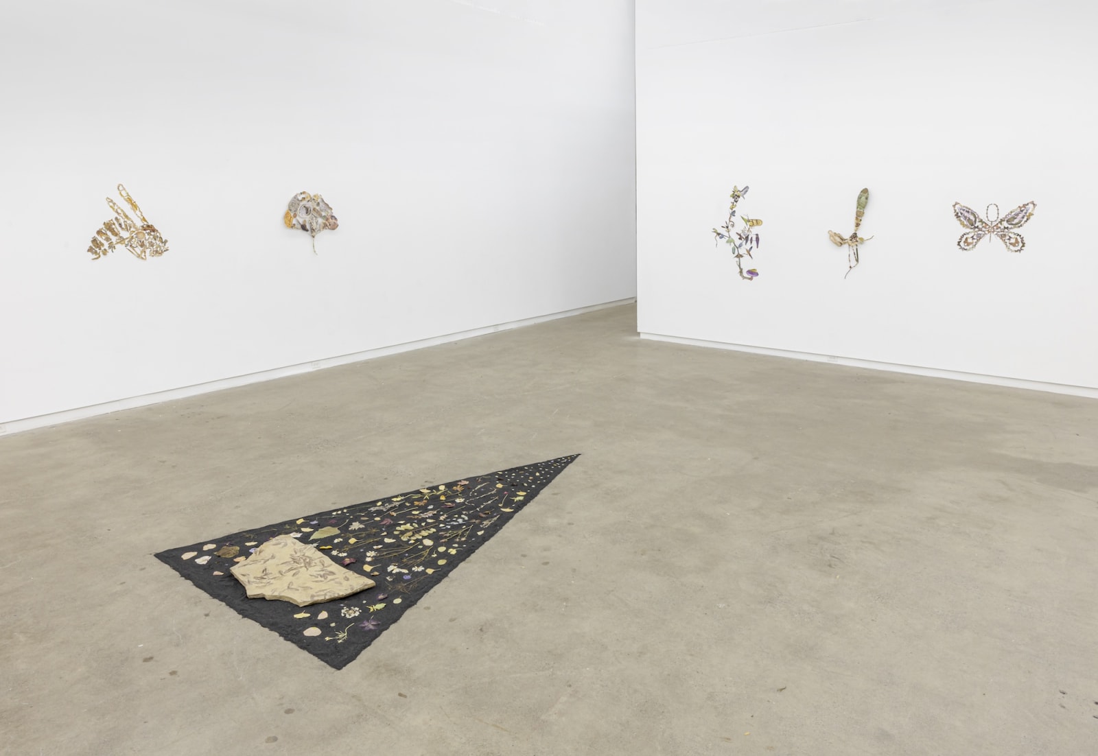 Jennifer Murphy, Gnat, 2022